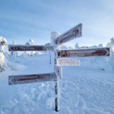 Appartamento Deluxe Luosto